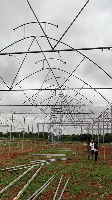 Greenhouse structure going up on cleared ground